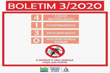 Foto - BOLETINS INFORMATIVOS DENGUE